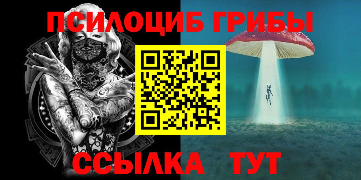 Галлюциногенные грибы Psilocybe  Галлюциногенные грибы MAGIC MUSHROOMS  цена наркотик  Шадринск  Вход с VPN 