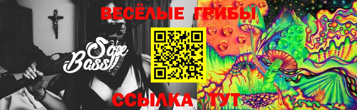 МЕФ Шадринск
